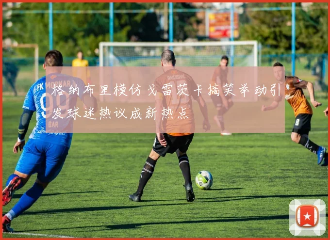 格纳布里模仿戈雷茨卡搞笑举动引发球迷热议成新热点