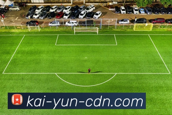 开云平台展示图