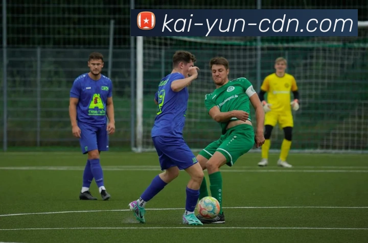 开云官网全站App